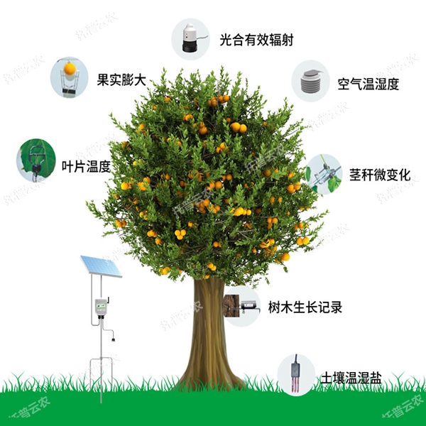 植物生理生態(tài)監(jiān)測系統(tǒng)有哪些功能優(yōu)勢？